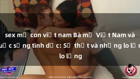 sex mẹ con việt nam Bà mẹ Việt Nam và cuộc sống tình dục: Sự thật và những lo lắng